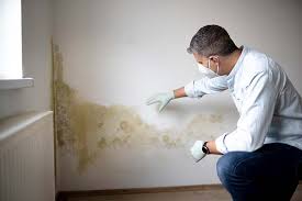 Mold Documentation for Insurance Claims in Little Falls, NY